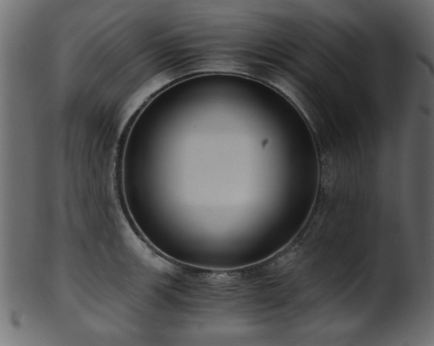 X0000101951139200807181444