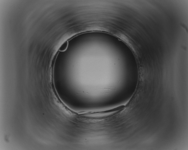 X0000101951140200807181444