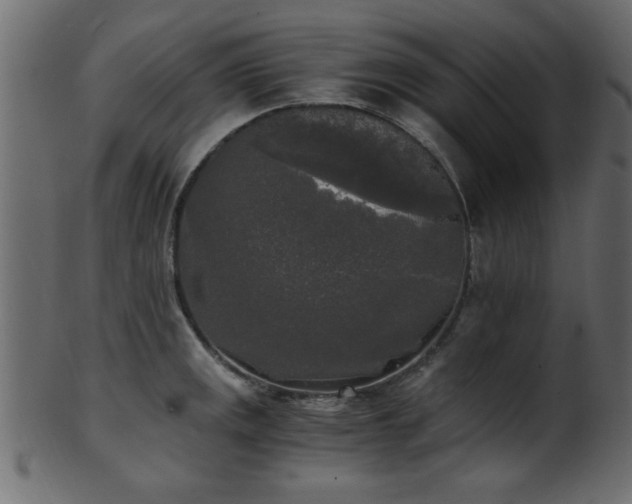 X0000101951141200807181444