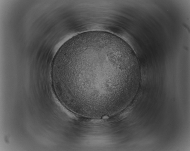 X0000101951142200807181444