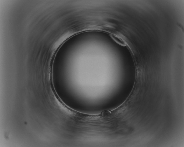 X0000101951143200807181444