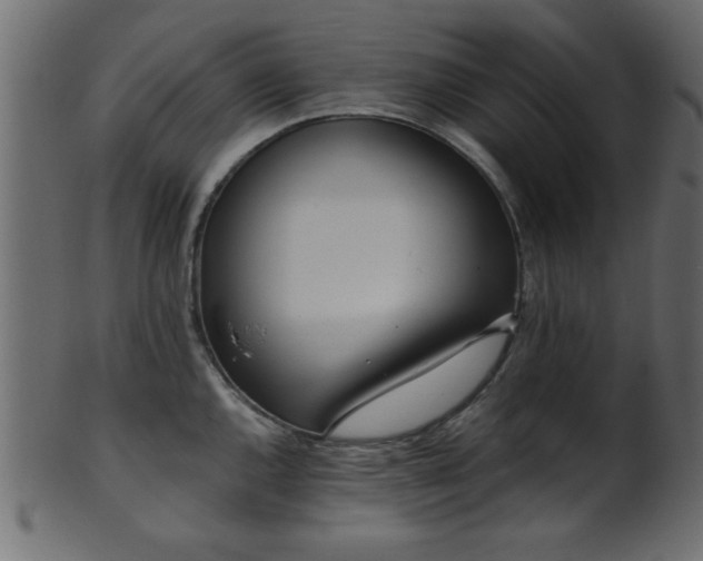 X0000101951144200807181444