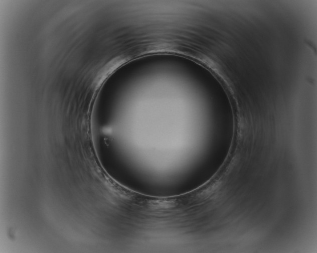 X0000101951145200807181444