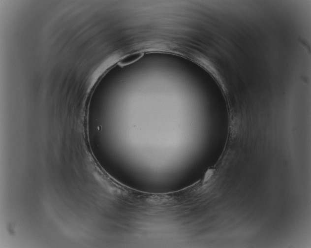 X0000101951146200807181444