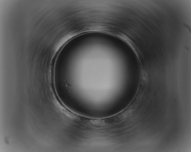 X0000101951147200807181445