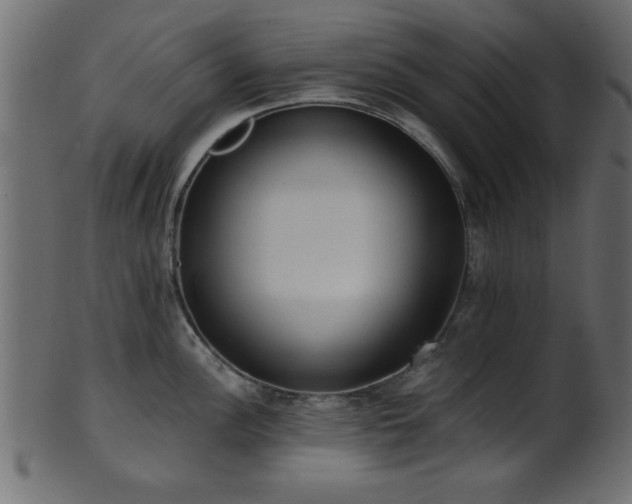 X0000101951148200807181445