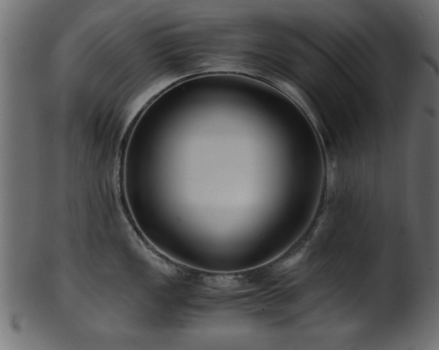 X0000101951149200807181445