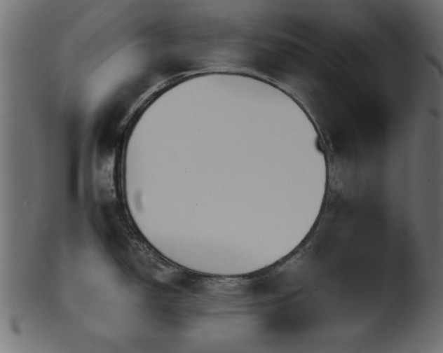 X0000101951150200807181445