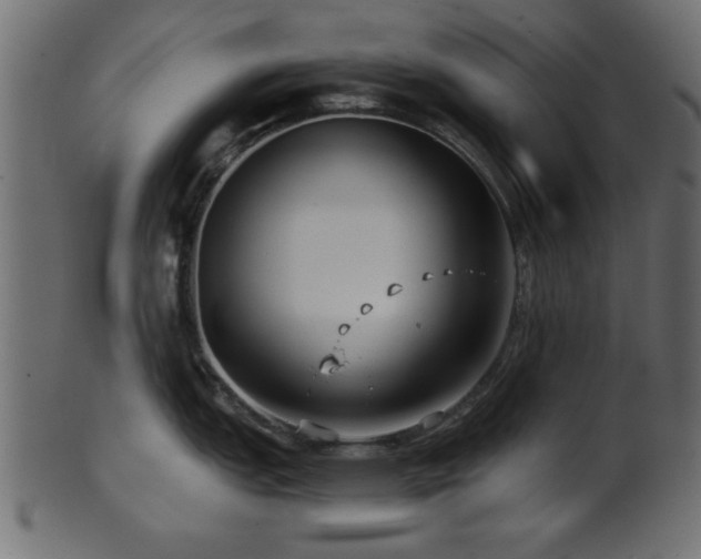 X0000101951151200807181445