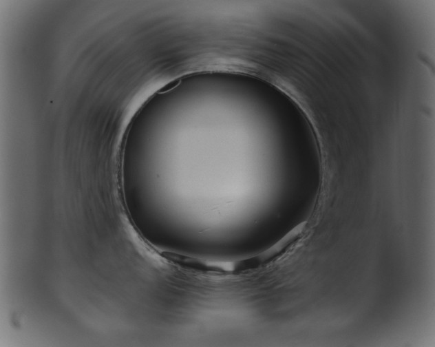 X0000101951152200807181445