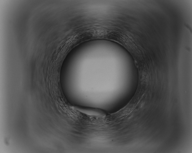 X0000101951153200807181444