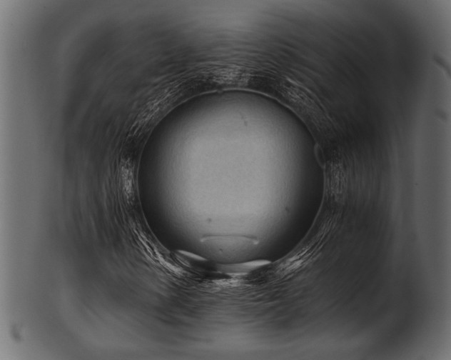 X0000101951154200807181444