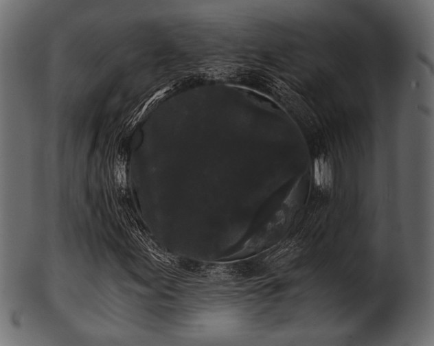 X0000101951155200807181444