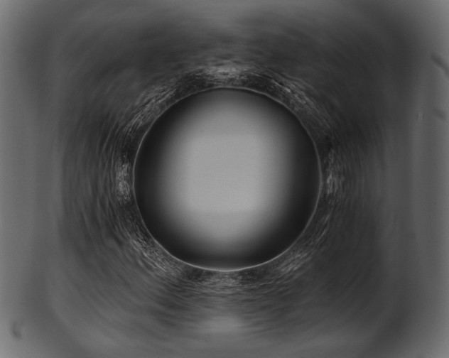 X0000101951156200807181444