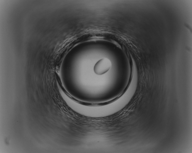 X0000101951157200807181444