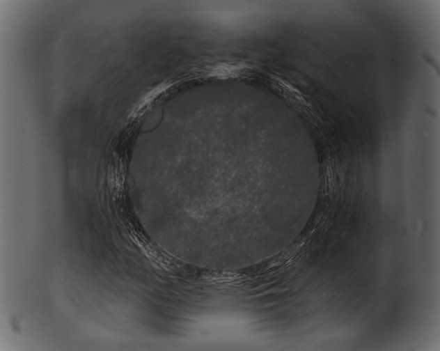 X0000101951158200807181444