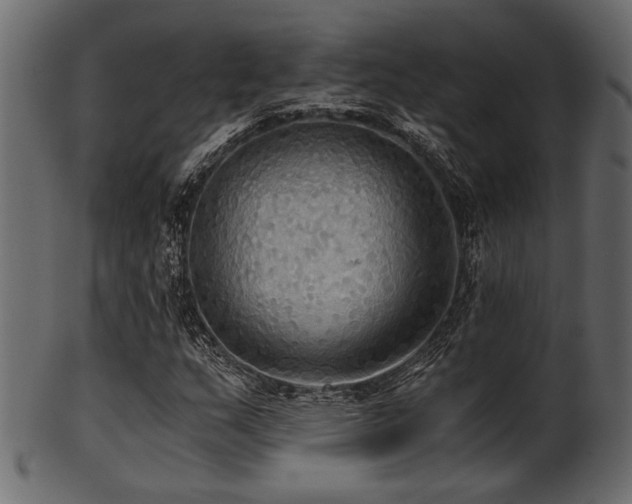 X0000101951159200807181444