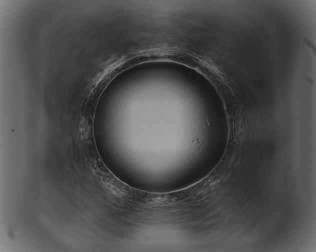 X0000101951160200807181444