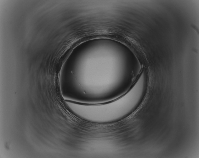 X0000101951161200807181444