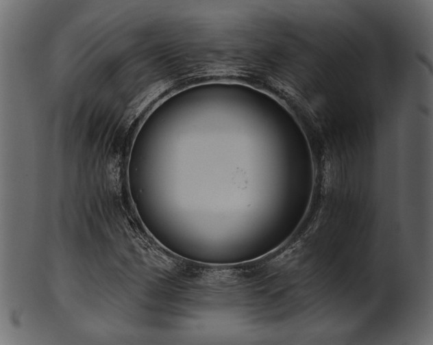 X0000101951162200807181444