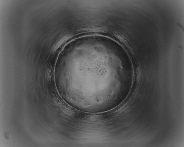 X0000101951163200807181444