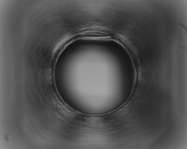 X0000101951164200807181444