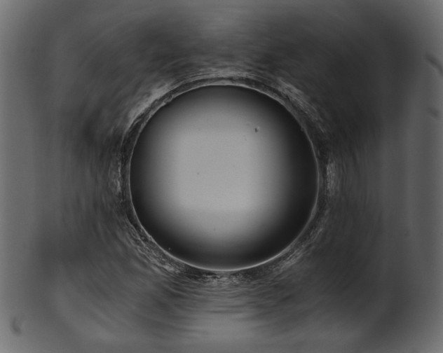 X0000101951165200807181444