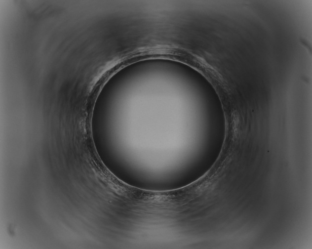 X0000101951166200807181444