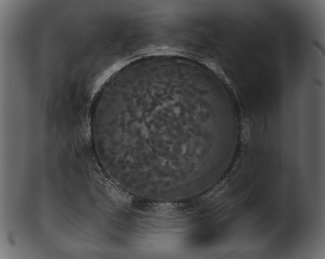 X0000101951167200807181444