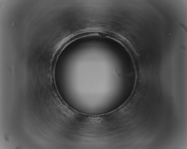 X0000101951168200807181444