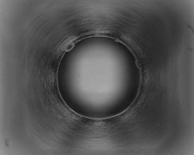 X0000101951169200807181444