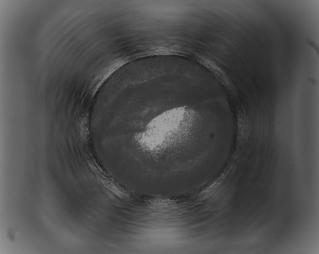 X0000101951170200807181444