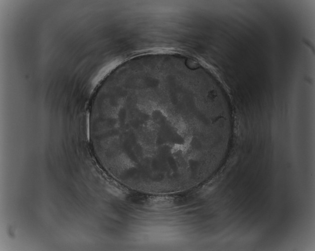 X0000101951171200807181443