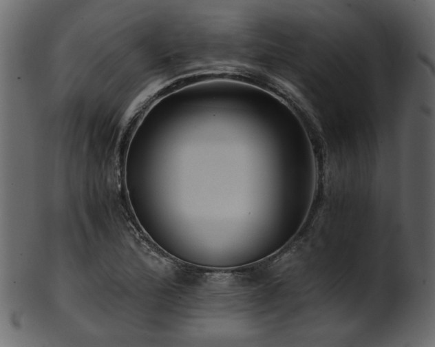 X0000101951172200807181443