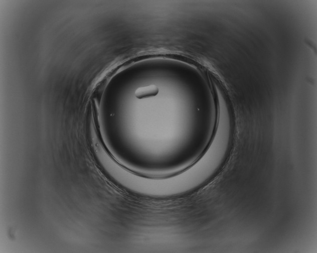 X0000101951173200807181443