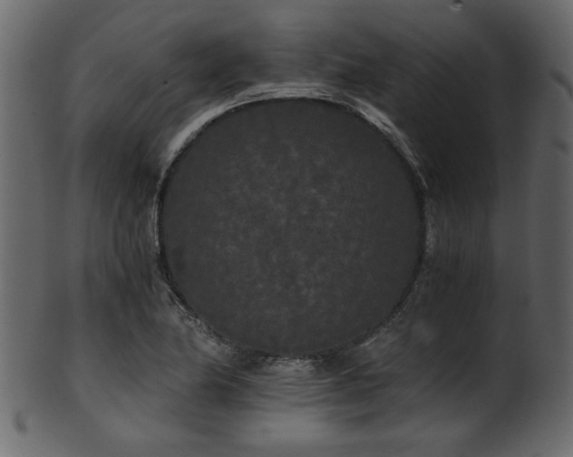 X0000101951174200807181443