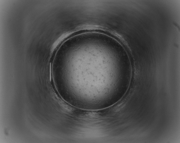 X0000101951175200807181443