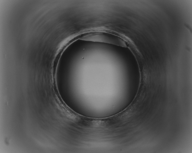 X0000101951176200807181443