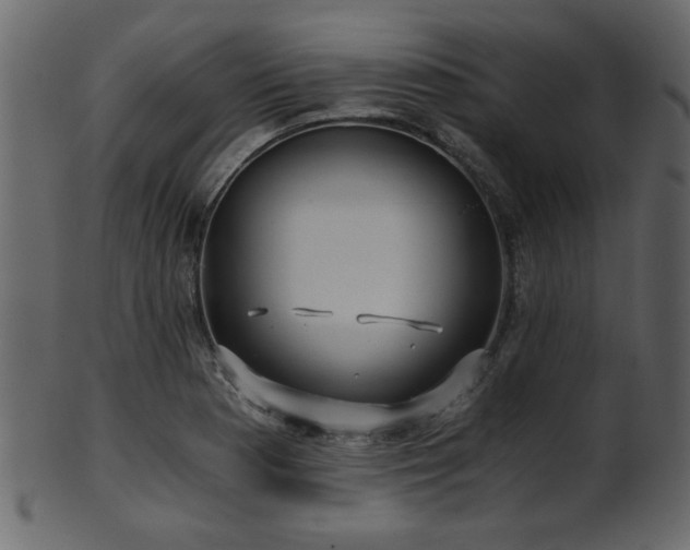 X0000101951177200807181443