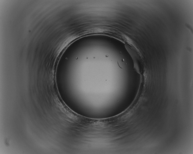 X0000101951178200807181443