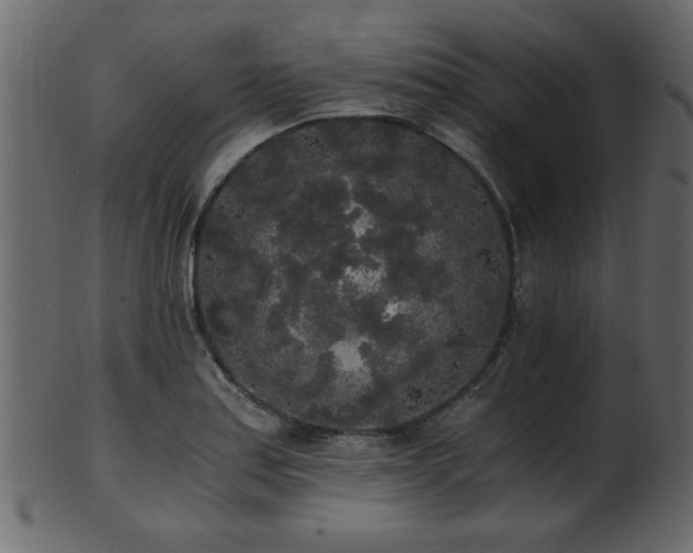 X0000101951179200807181443