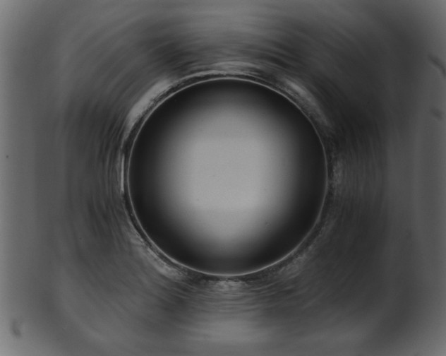 X0000101951180200807181443