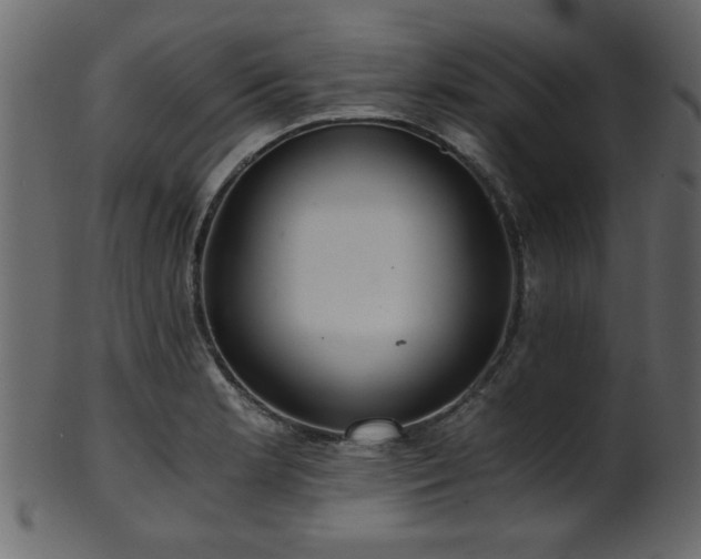 X0000101951181200807181443