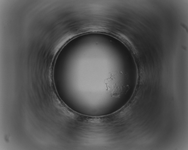 X0000101951182200807181443