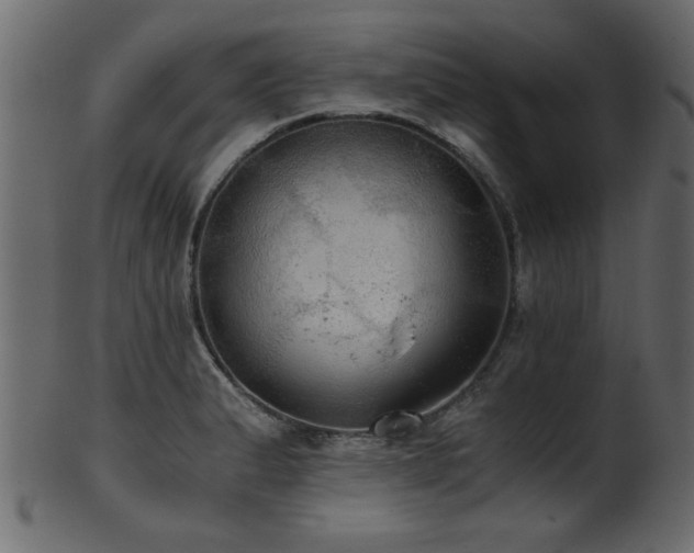 X0000101951183200807181443