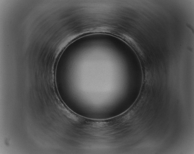 X0000101951184200807181443