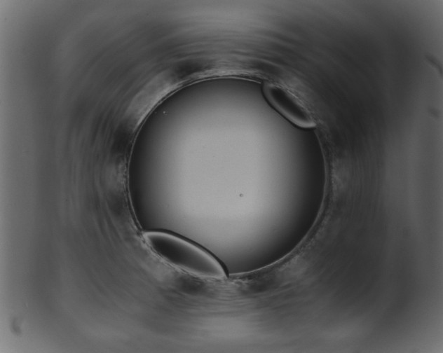 X0000101951185200807181443