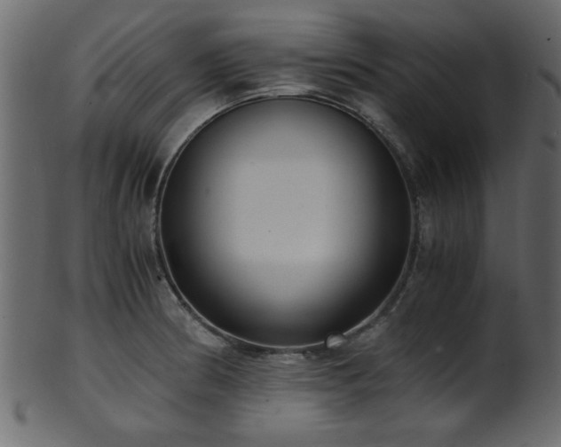 X0000101951186200807181443