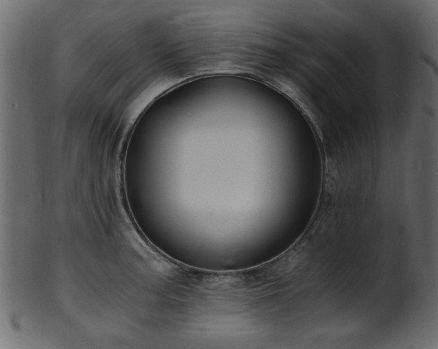 X0000101951187200807181443