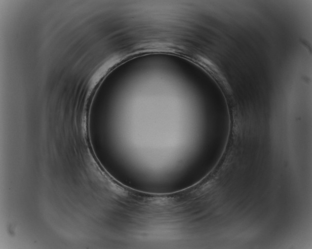 X0000101951188200807181443